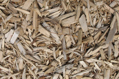 biomass boilers Fostall